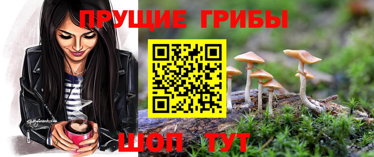 Псилоцибиновые грибы мицелий  Вход с VPN  Карабулак  Галлюциногенные грибы мицелий 